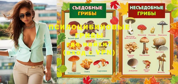эйфоретик Медвежьегорск