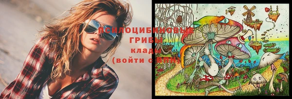 эйфоретик Медвежьегорск
